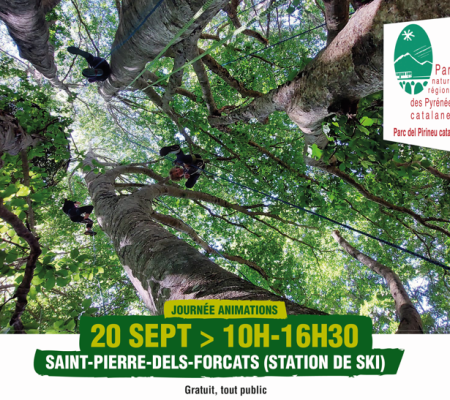 PNR 66, CLS Montagnes Catalanes et TRAM66 - Journée " la forêt nous fait du bien "  Le mercredi 20 septembre de 10 à 17h à St Pierre dels Forcats